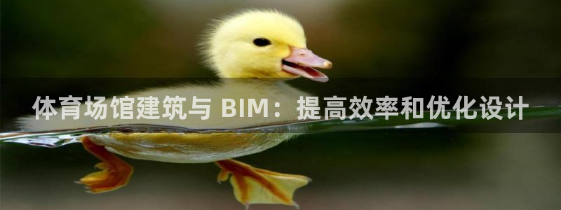 尊龙凯时d5138：体育场馆建筑与 BIM：提高效率和优化设